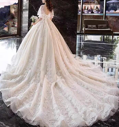 Women Luxury Appliques Wedding Dresses Long V-Neck Bridal Gowns YWD038